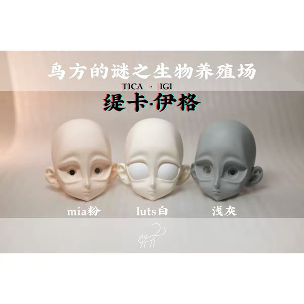BirdCube - Tica · Igi Proxy Purchase