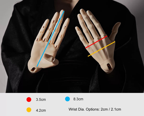 AbiDoll - Herman & 75 Body