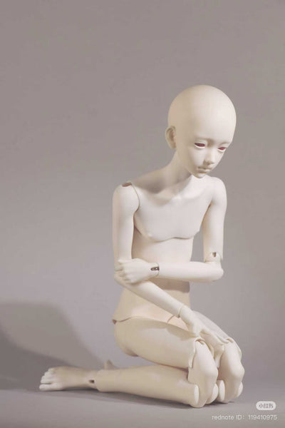 Leshan Doll - Vernal Tree Proxy Purchase