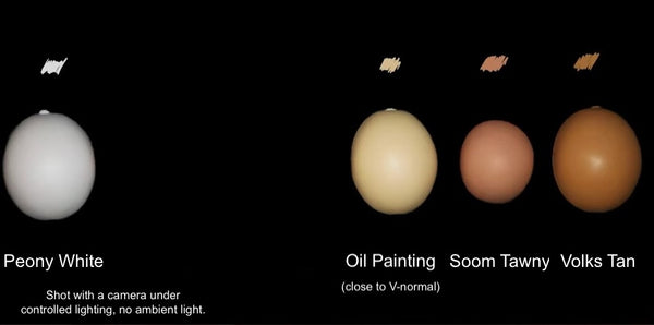 Black Ship Doll - Oil Painting Body