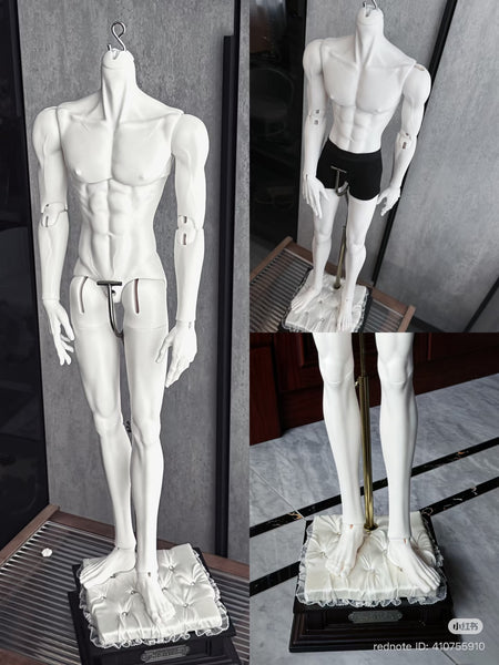 Muse Doll - Glen & 75 Body