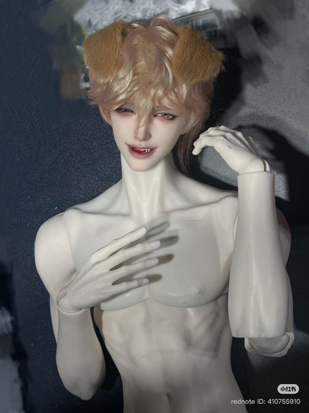 Muse Doll - Glen & 75 Body