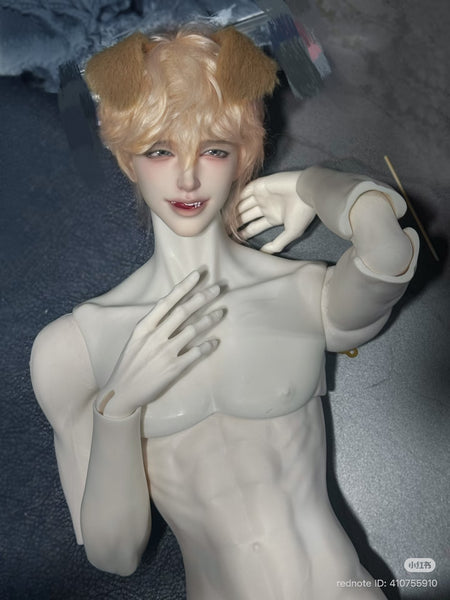 Muse Doll - Glen & 75 Body