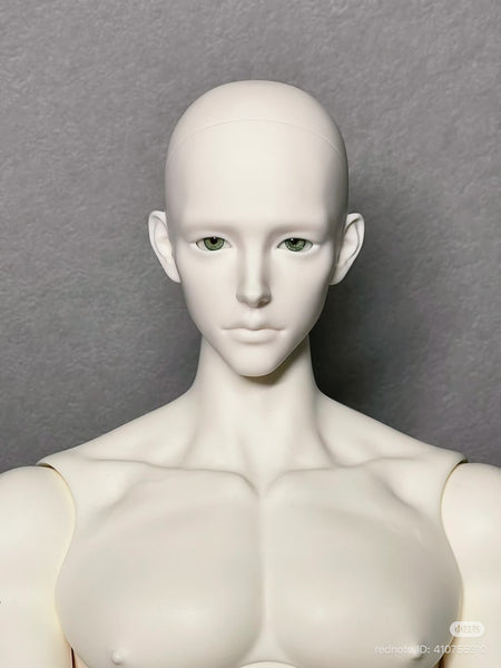 Muse Doll - Glen & 75 Body