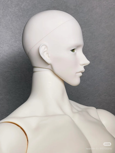 Muse Doll - Glen & 75 Body