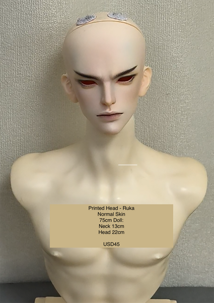 Inazuma Doll - Painted Head Collection