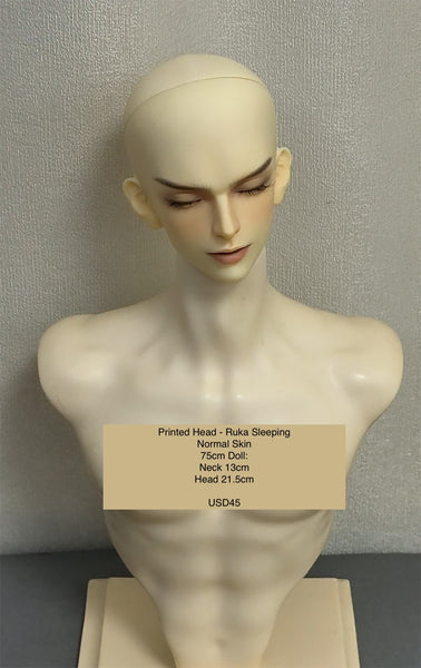 Inazuma Doll - Painted Head Collection