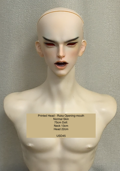 Inazuma Doll - Painted Head Collection