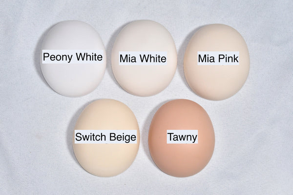 K Deliao – Zhaohan