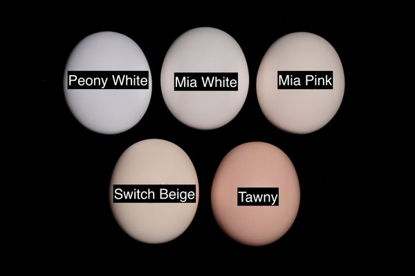 K Deliao – Zhaohan