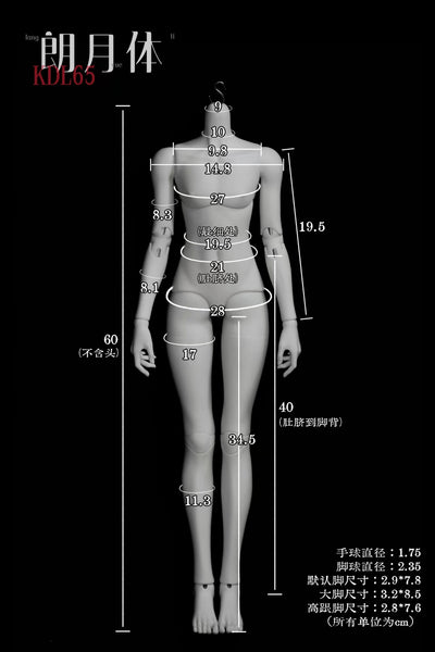 K Deliao – 65 Brightmoon Body