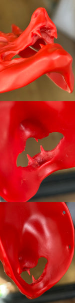 Fengxian Jiu - Chao Shan (Fox)