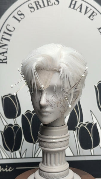Tony Hai Wig - Dec In-stocks Collection