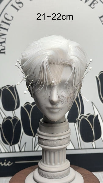 Tony Hai Wig - Dec In-stocks Collection