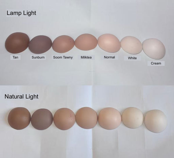 Luffy Doll - Charles SP