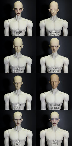 Muse Doll - Glen & 75 Body