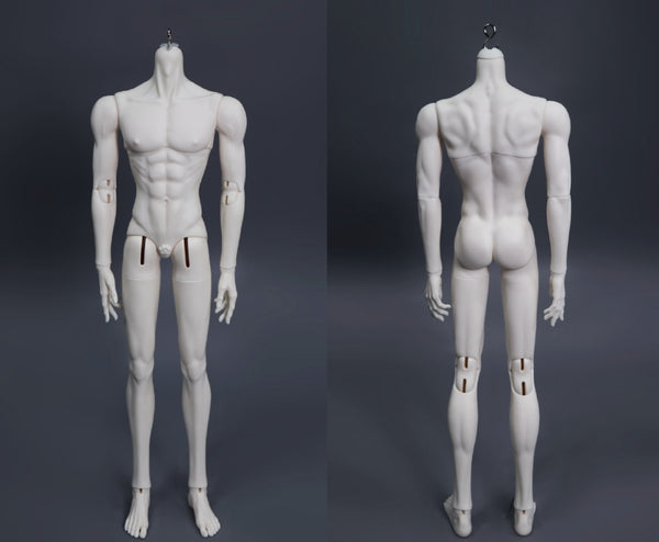 Muse Doll - Glen & 75 Body