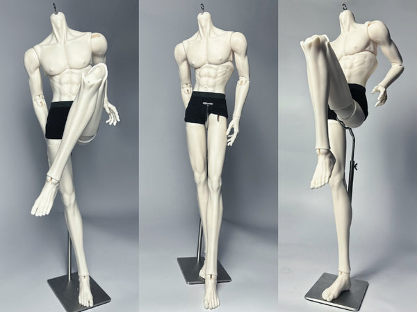 Muse Doll - Glen & 75 Body