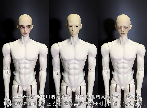 Muse Doll - Glen & 75 Body