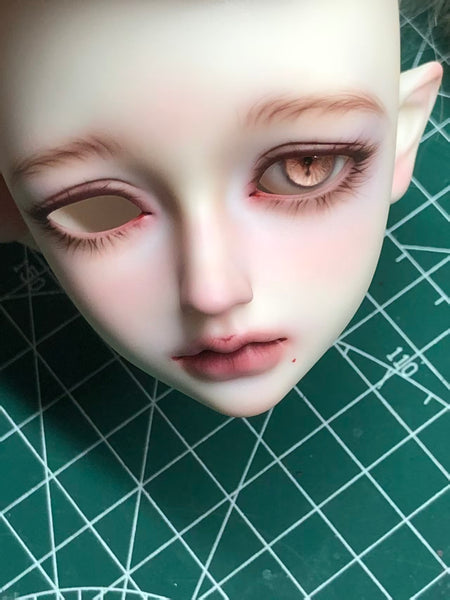 Cat Pie - Face-up Service