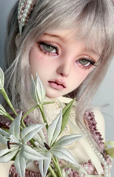 Alhagi Doll - Liang