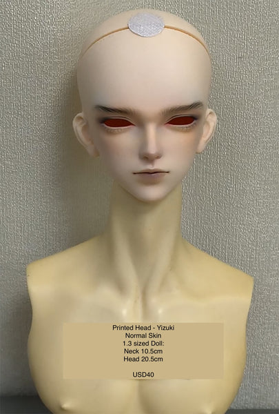 Inazuma Doll - Painted Head Collection
