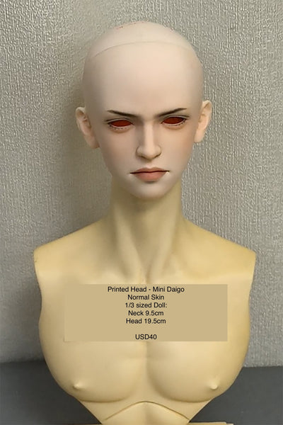 Inazuma Doll - Painted Head Collection