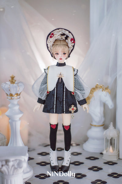 NiNDolly - Heart Vessel