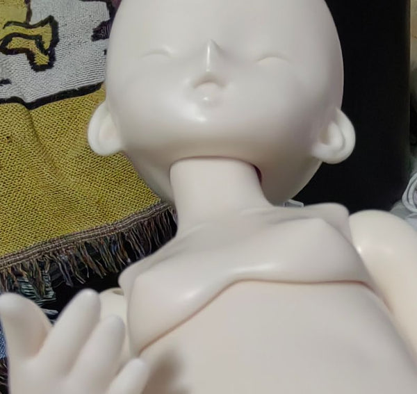 Giant Salamander Doll - Raccoon & Crawler Body