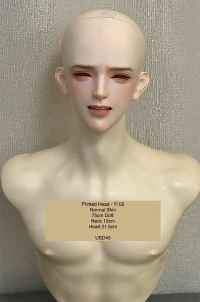 Inazuma Doll - Painted Head Collection