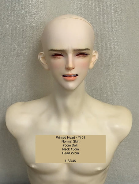 Inazuma Doll - Painted Head Collection
