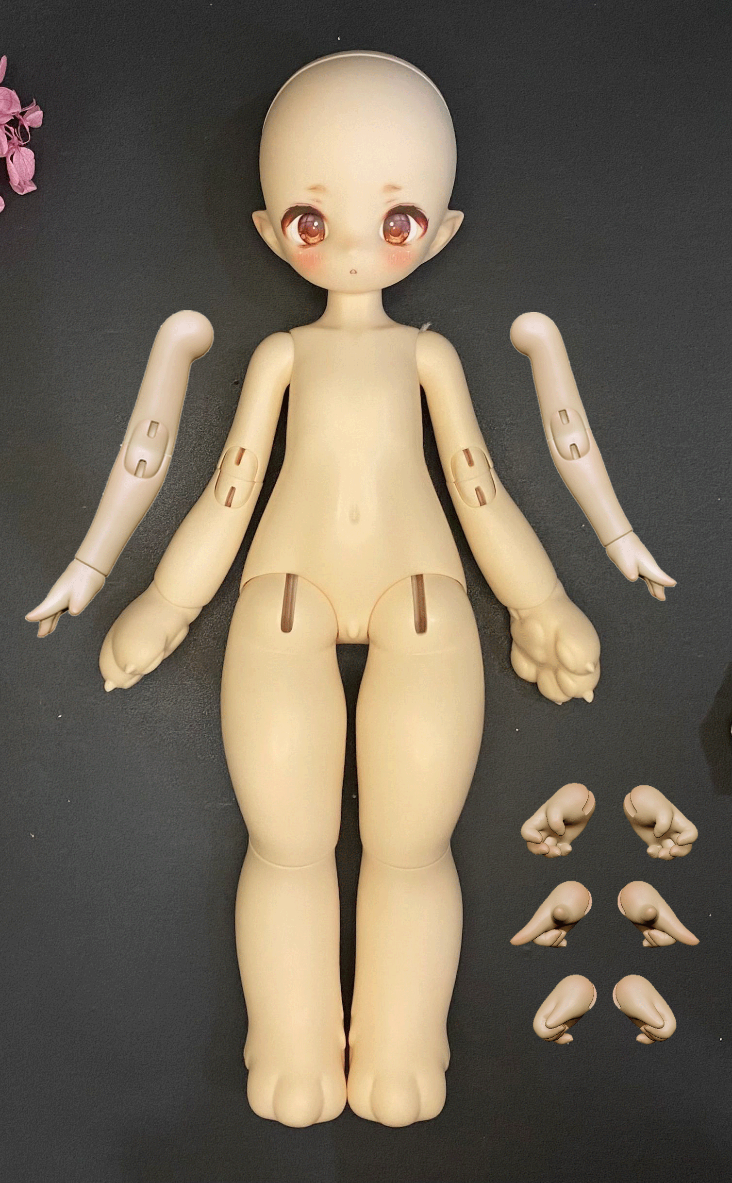 BJD cat (new store body type)